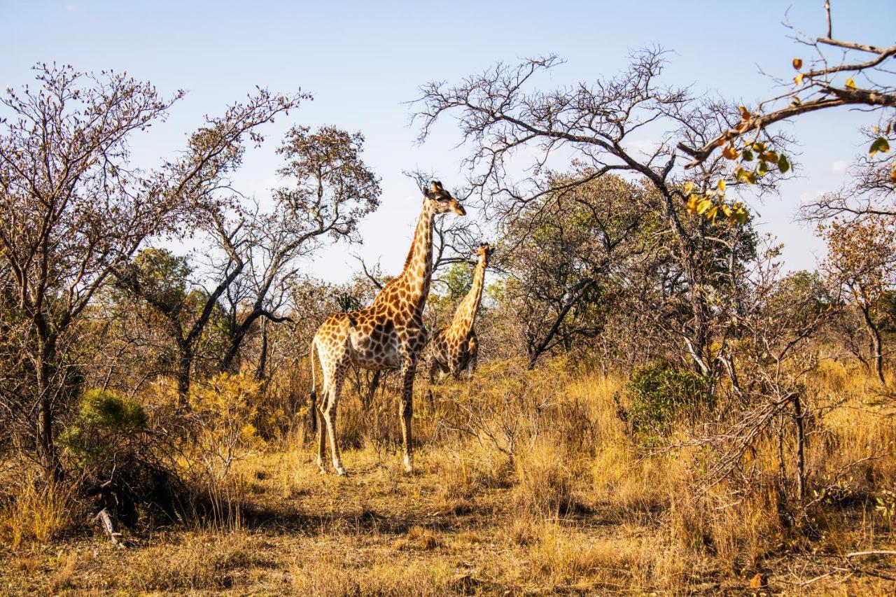 Fumani Game Lodge Modimolle Exterior photo